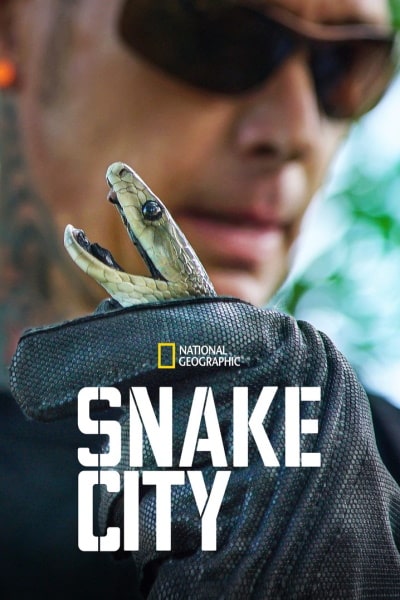 Snake City - Season 8