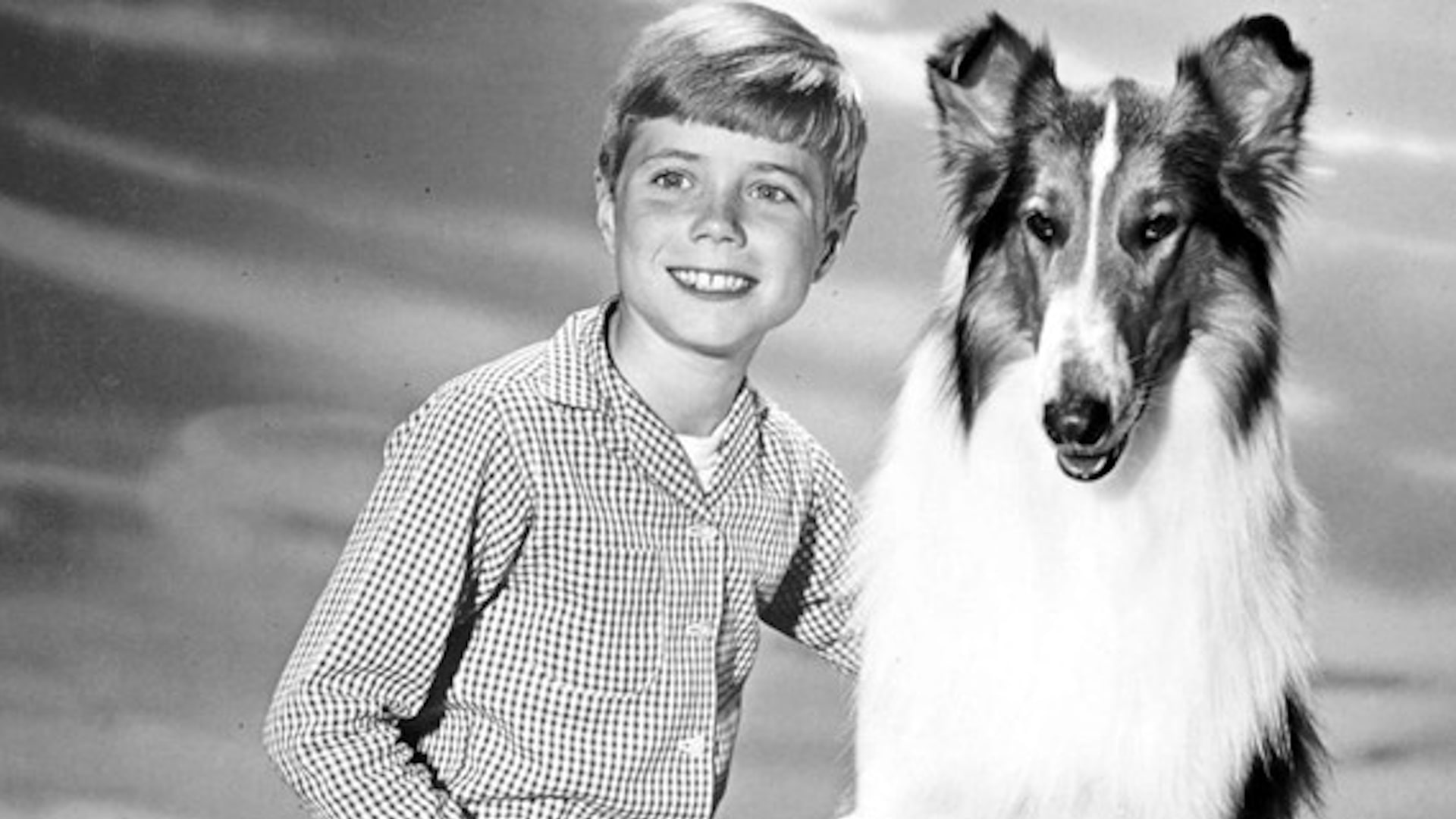 Season 8