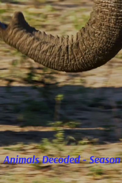Animals Decoded - Season 1