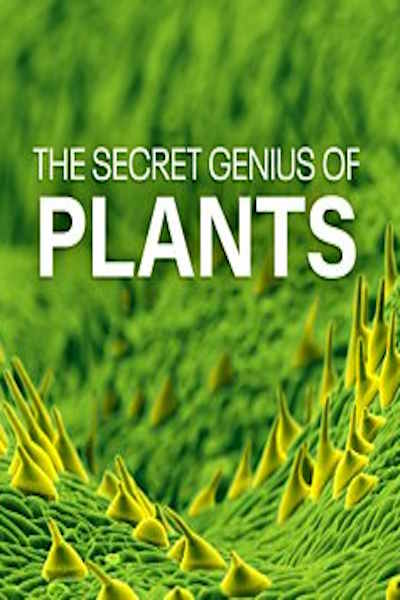 The Secret Genius of Plants - Season 1