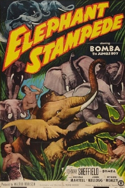 Elephant Stampede