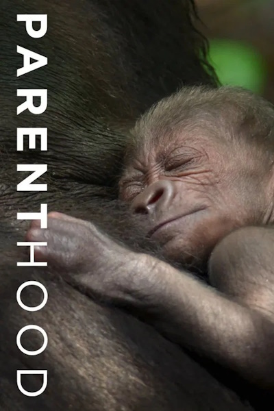 Parenthood - Season 1