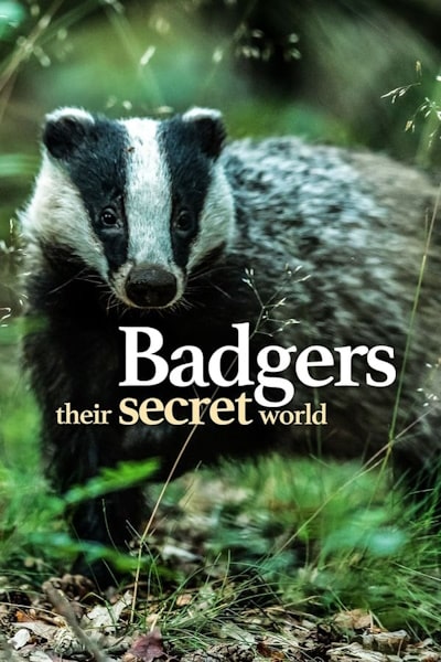 Badgers: Their Secret Worlds - Season 1