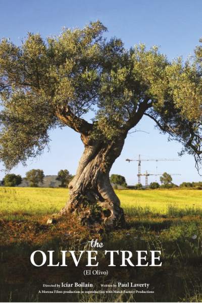 The Olive Tree