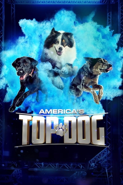 Americas Top Dog&nbsp;- Season 2